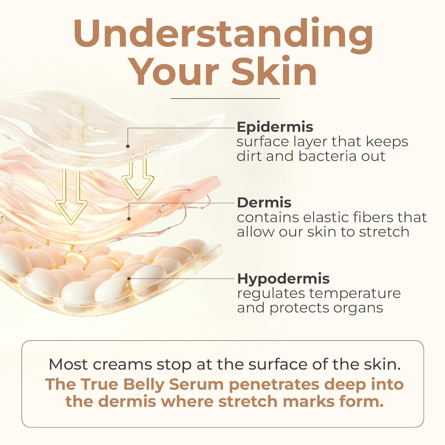 8 Sheep True Belly Serum, aceite para el vientre seguro para el embarazo con ácido hialurónico de triple peso y centella asiática, apoya la hidratación y elasticidad de la piel, fabricado en Estados