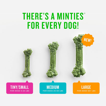 Minties - Masticables dentales para perros medianos, recomendados p...