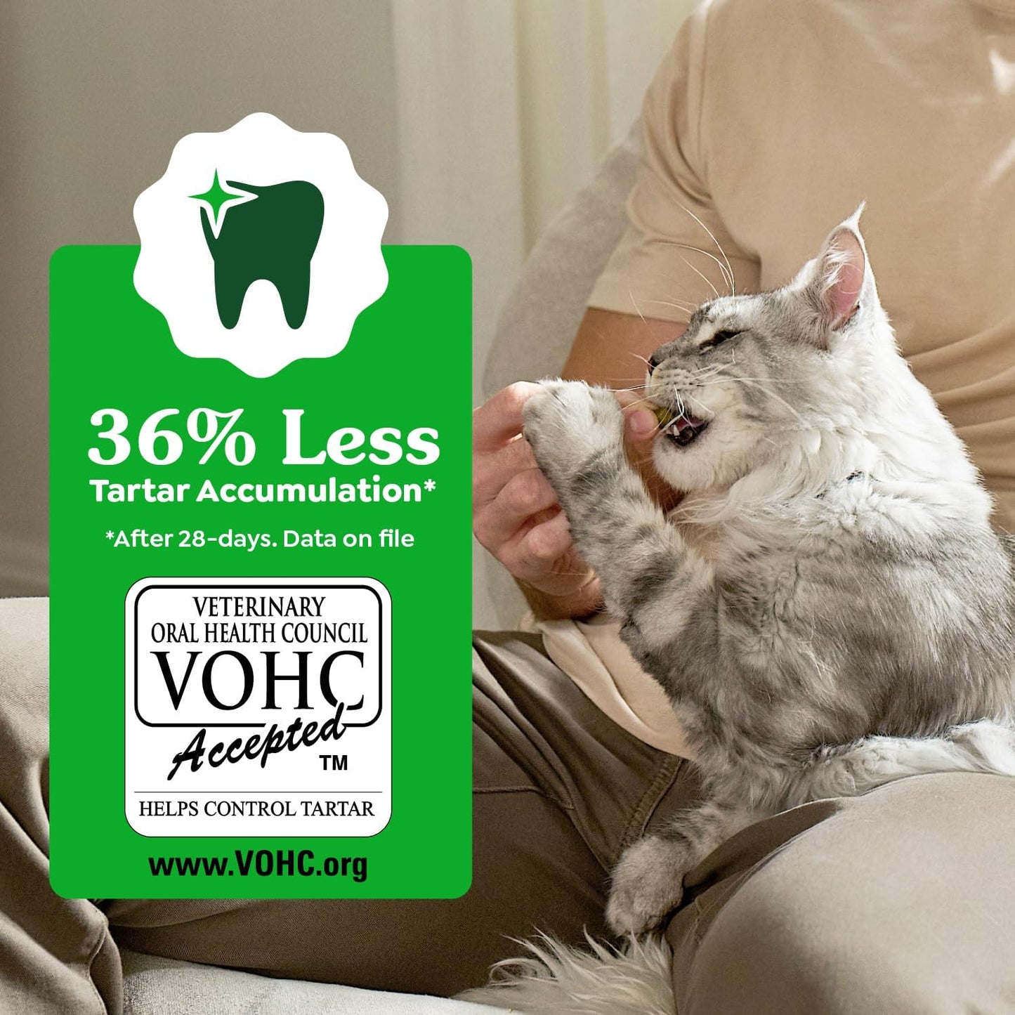 Greenies Golosinas dentales naturales para gatos adultos recomendad...