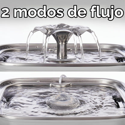 Fuente de agua para gatos de acero inoxidable, ganadora del premio...