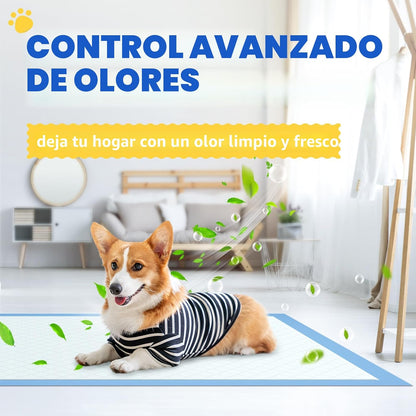 Powools Paquete de 100 Almohadillas para Cachorros Extra Grandes -...