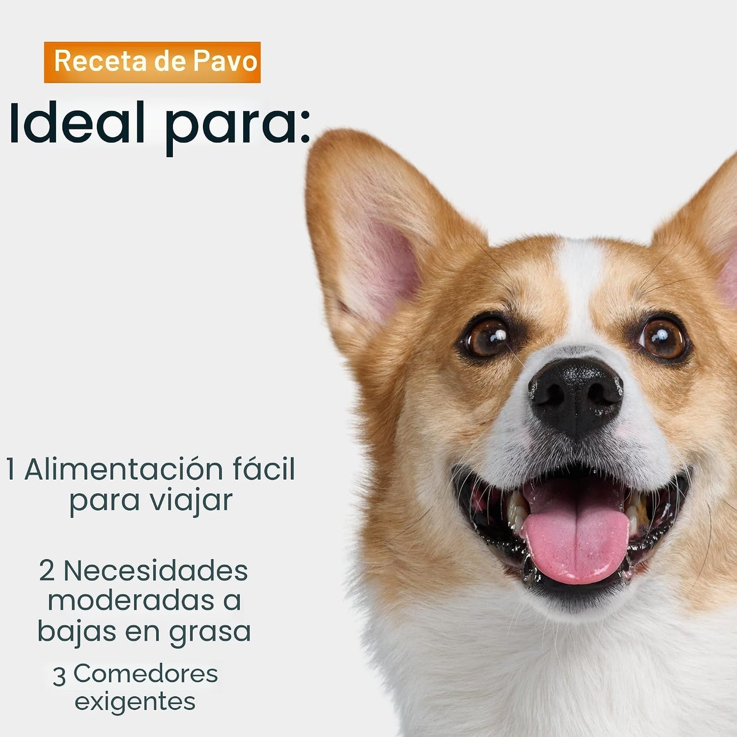 JustFoodForDogs JustFresh - Comida húmeda para perros, comidas fres...