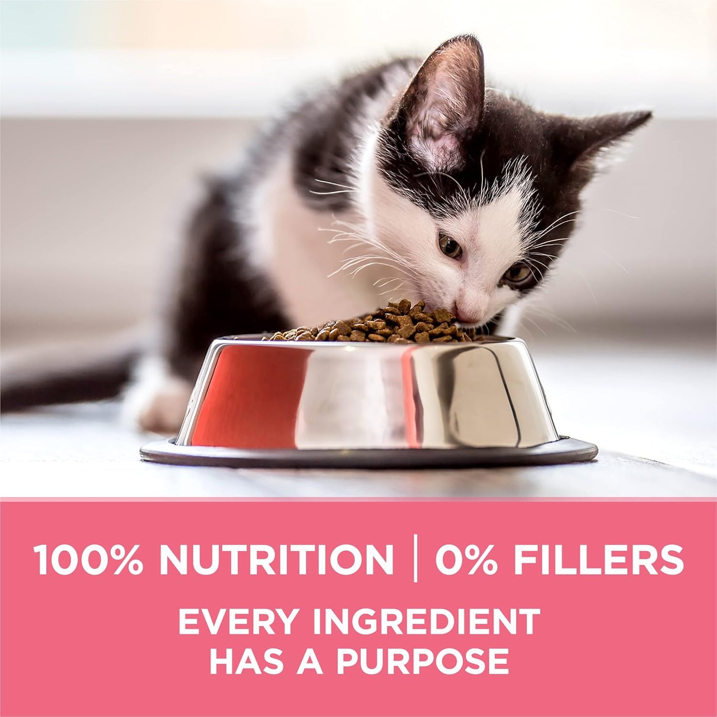 Purina ONE - Alimento seco natural para gatitos, alto contenido en...