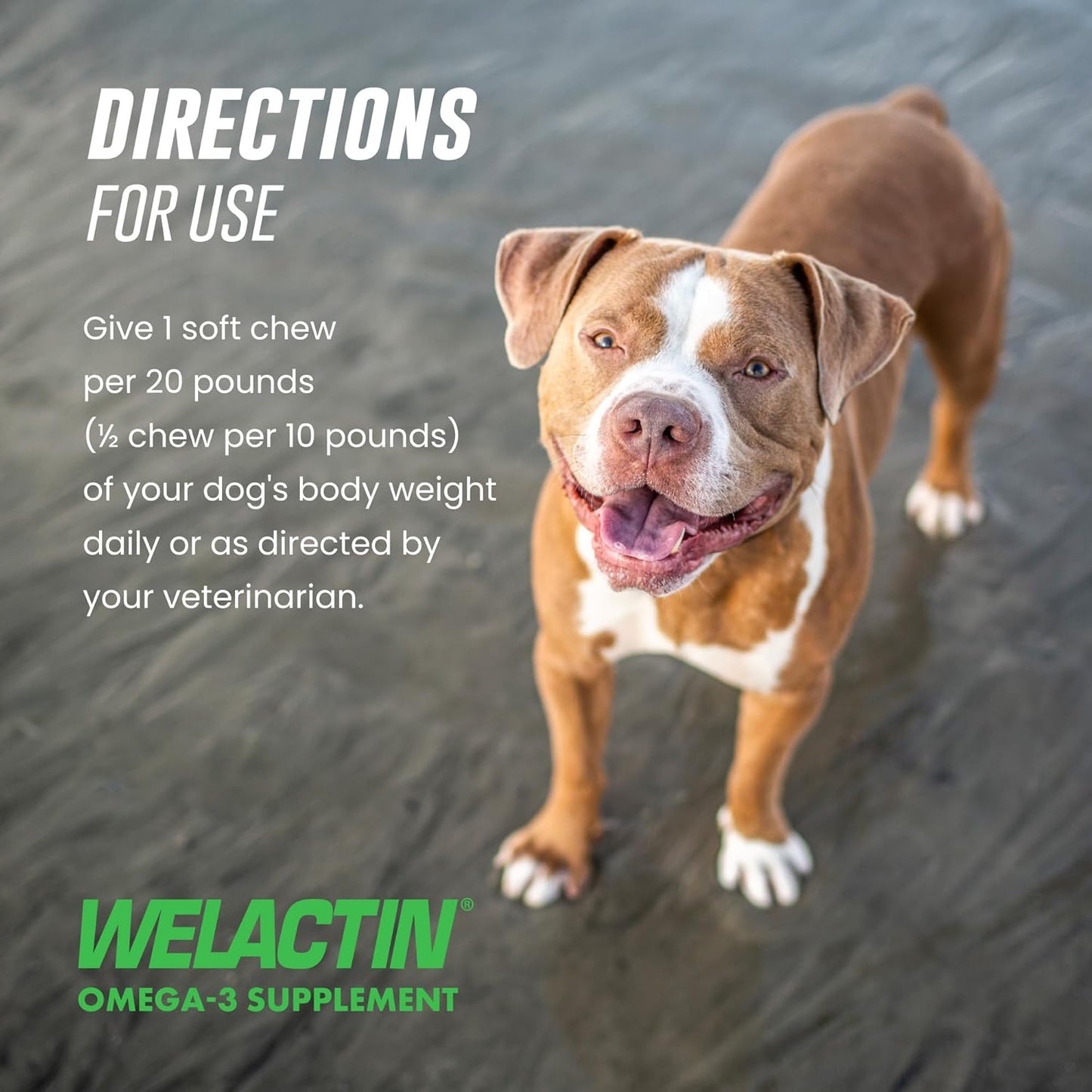 Nutramax Welactin Omega 3 Aceite de pescado para perros, suplemento...