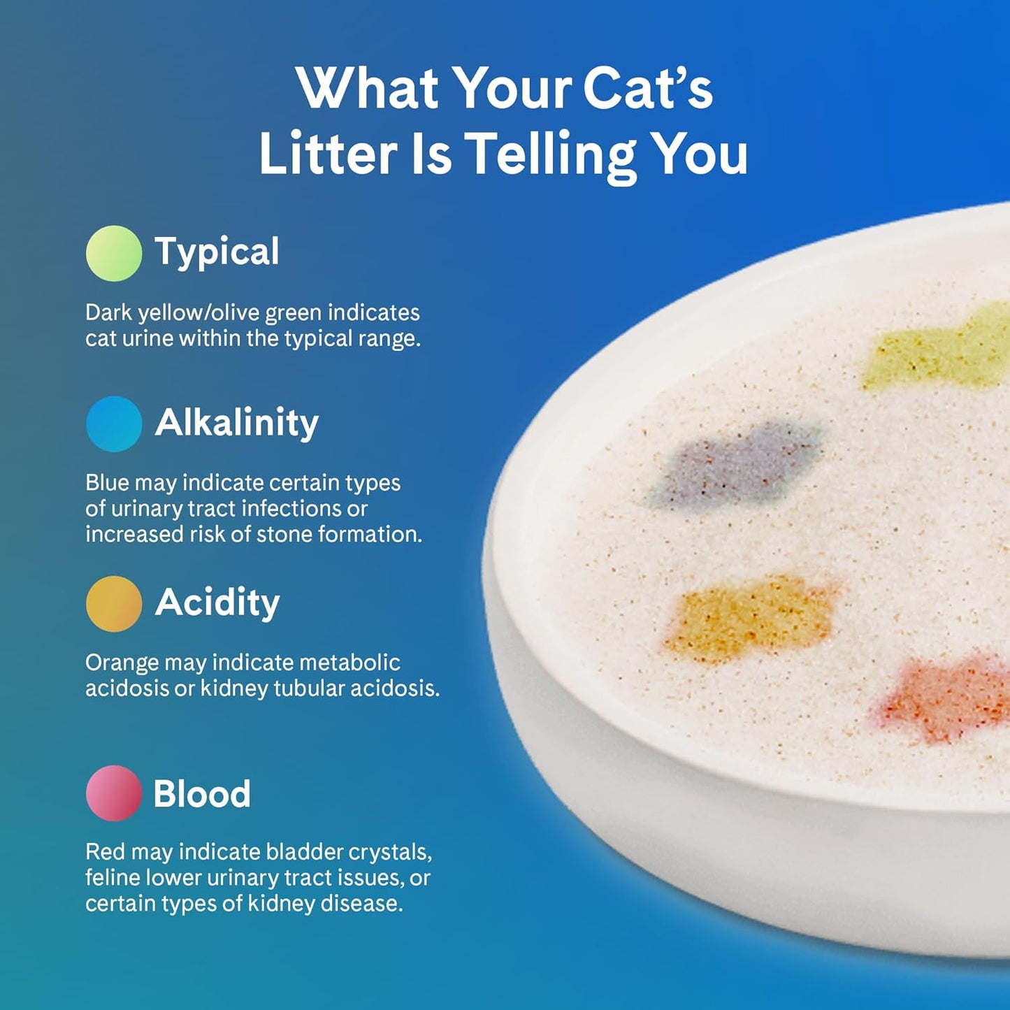 PrettyLitter - Arena para gatos con monitoreo de la salud (aloe tra...