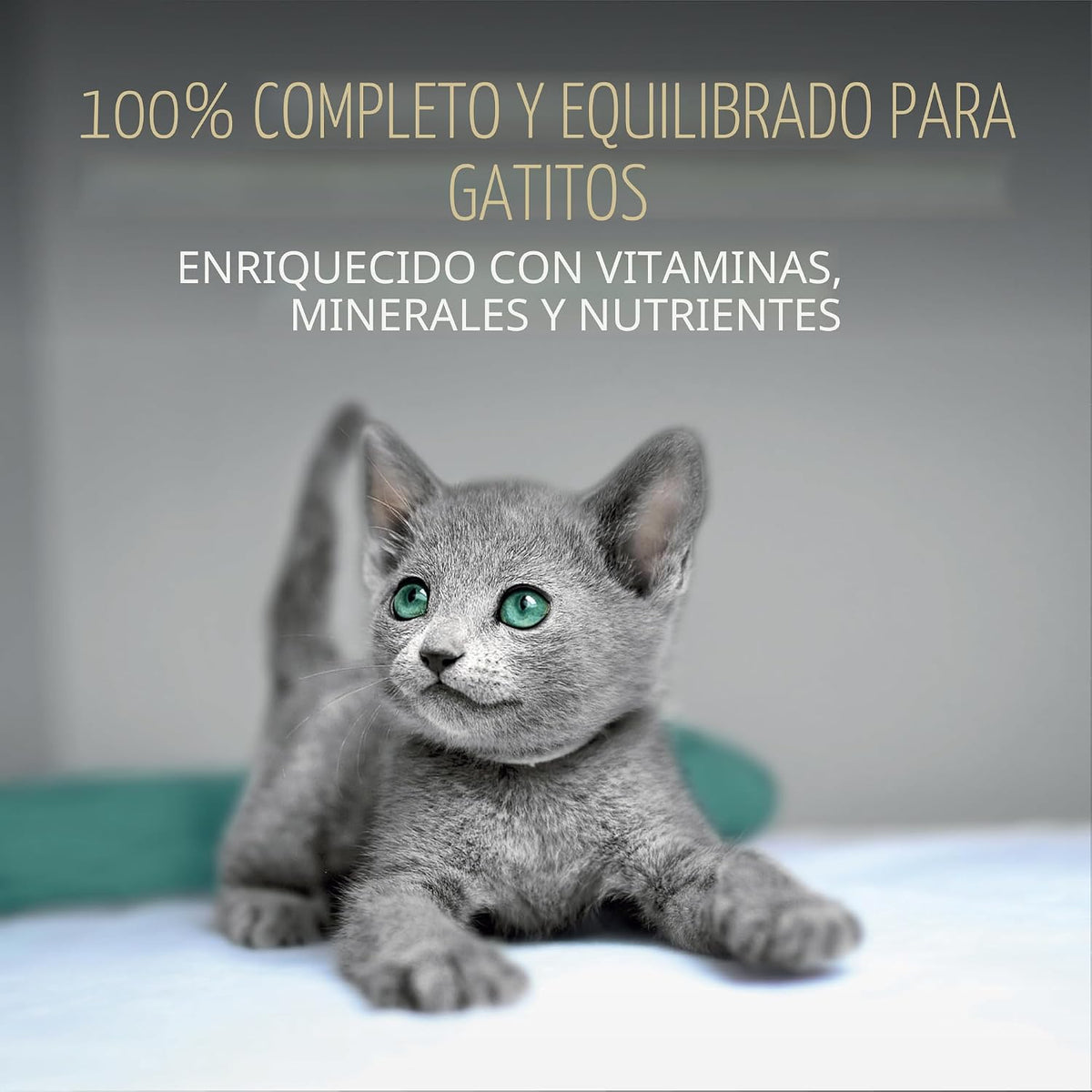 Sheba Perfect Portions - Alimento húmedo en paté para gatos, paquet...