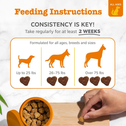 Zesty Paws Stay Green Bites for Dogs - Masticables suaves para quem...