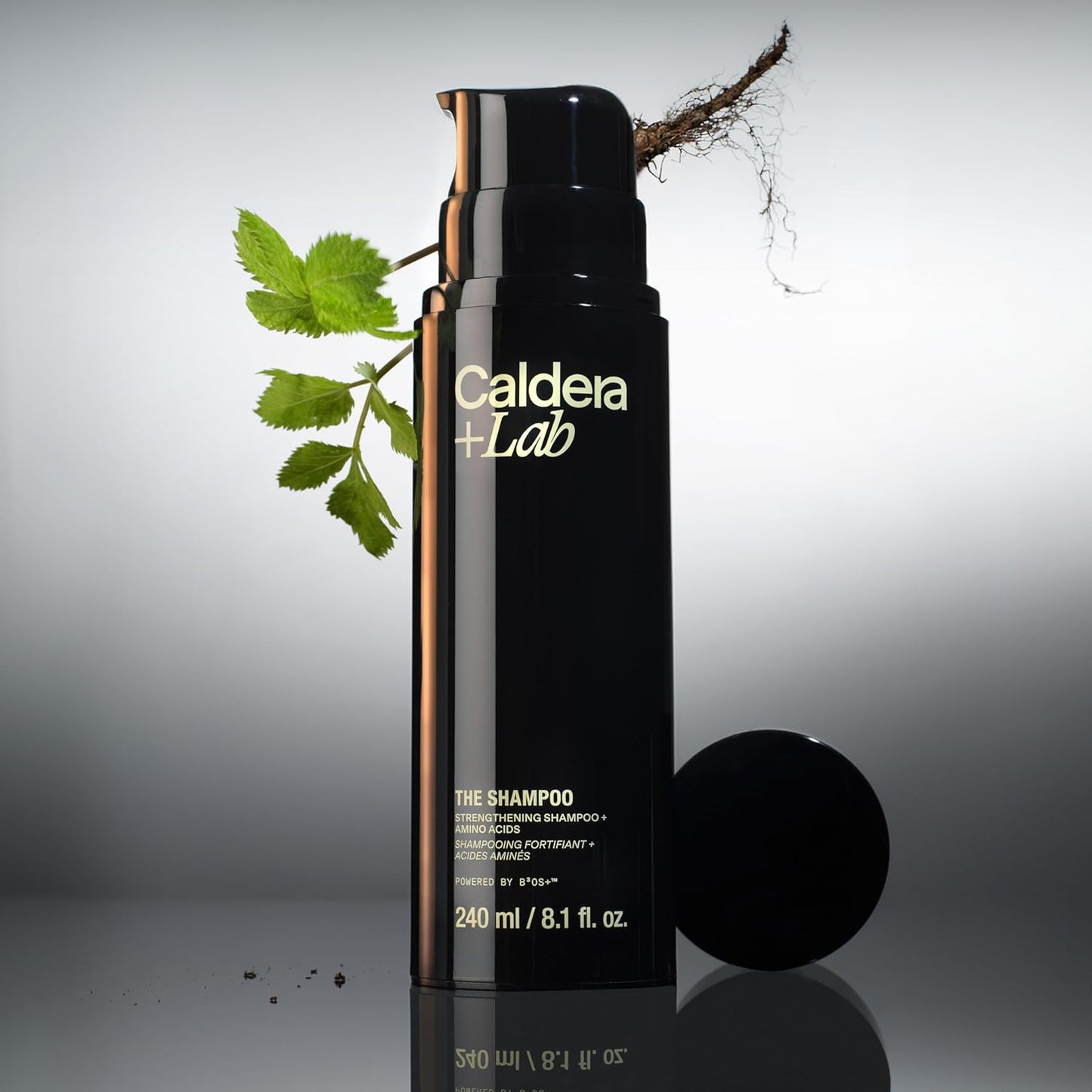 Caldera + Lab The Shampoo | Champú para hombres para cabello sano, limpiador diario sin sulfato, probado dermatológicamente, todo tipo de cabello
