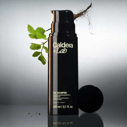 Caldera + Lab The Shampoo | Champú para hombres para cabello sano, limpiador diario sin sulfato, probado dermatológicamente, todo tipo de cabello