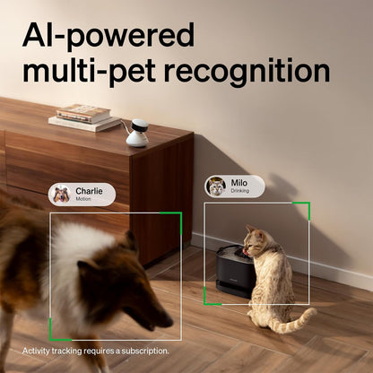 PETLIBRO AI Cámara para mascotas con aplicación de teléfono para in...