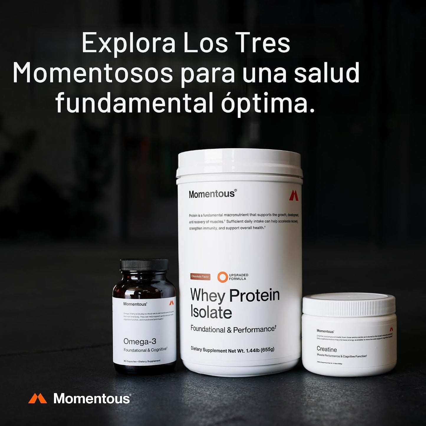 Momentous Polvo de monohidrato de creatina, polvo de creatina, apoy...