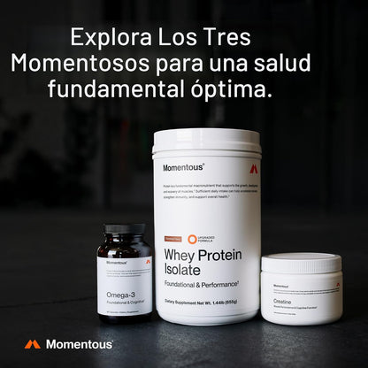 Momentous Polvo de monohidrato de creatina, polvo de creatina, apoy...