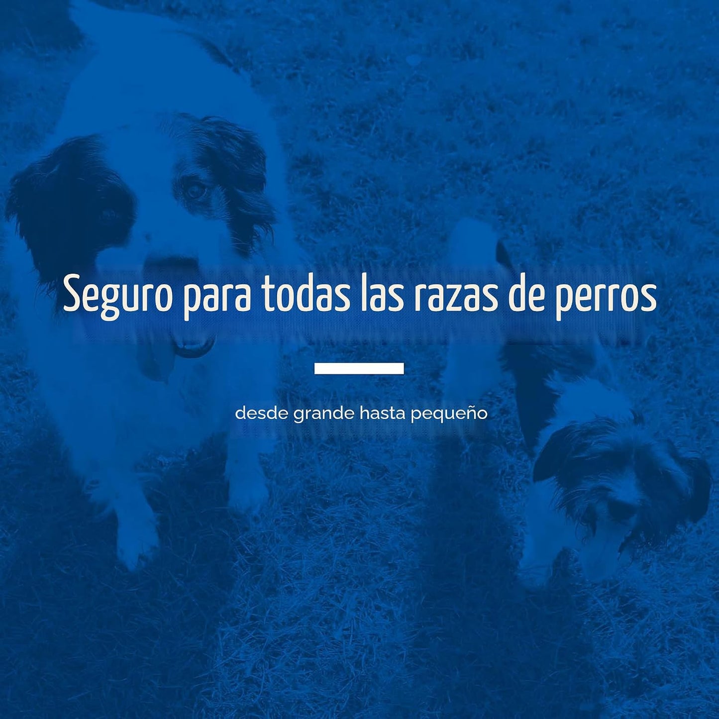 PetArmor Sure Shot - Líquido desparasitante para perros, gusanos re...