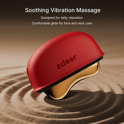 ZDEER Juego de cuidado facial eléctrico Gua Sha, masajeador facial...