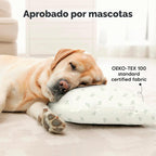 KeaBabies Paquete de 2 almohadas para niños pequeños de 13 x 18 pul...
