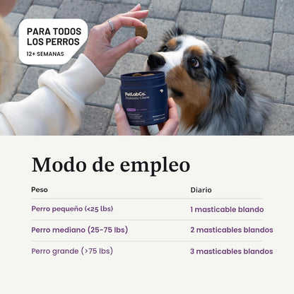 PetLab Co. Probióticos para perros, ayudan a la salud intestinal, l...