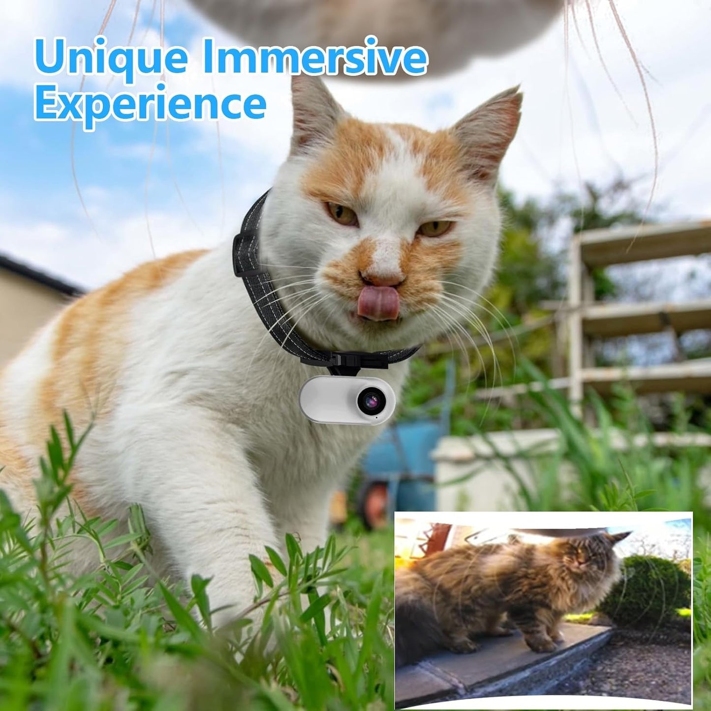 ehomful HD 1080P - Collar de cámara para gatos con grabación de vid...