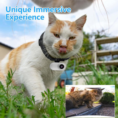 ehomful Collar de cámara para gatos HD 1080P con grabación de video...