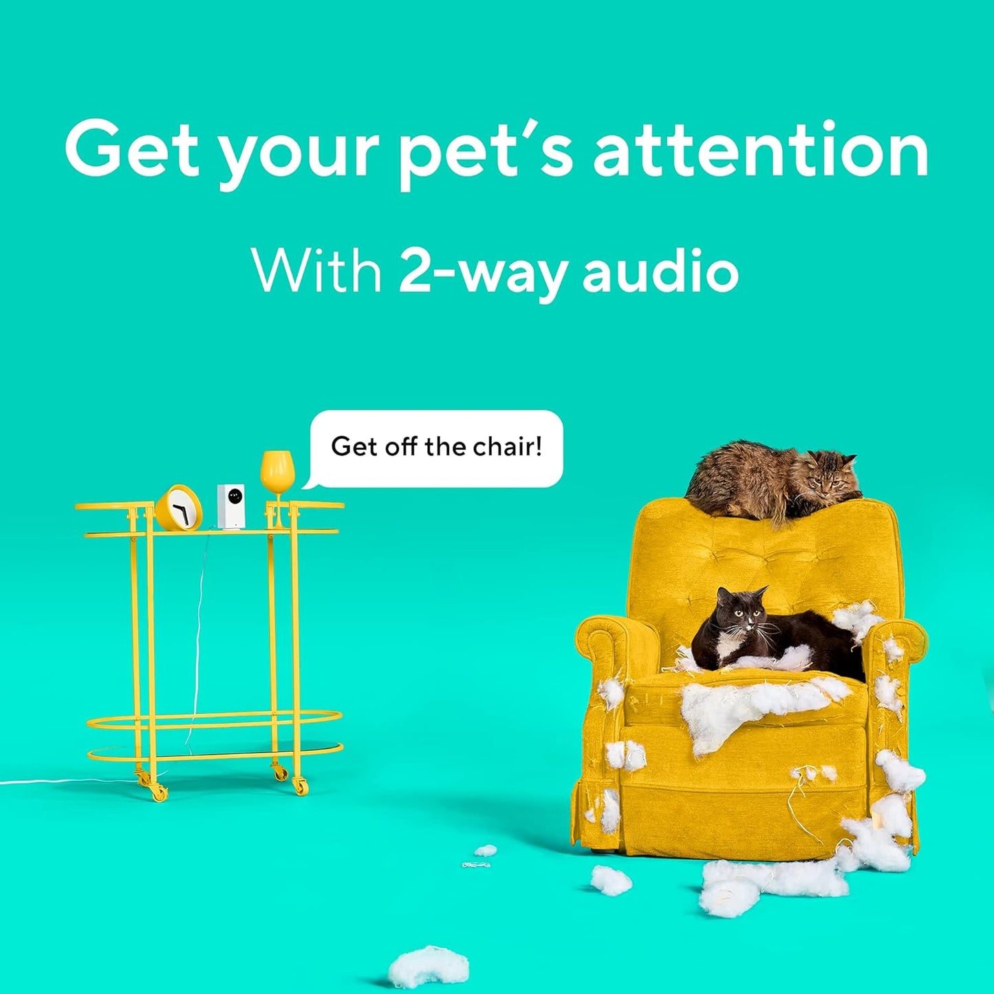 Wyze Cam Pan v2 Cámara para mascotas de 360° con aplicación de telé...