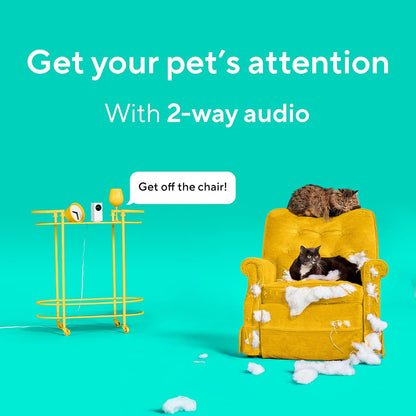 Wyze Cam Pan v2 Cámara para mascotas de 360° con aplicación de telé...