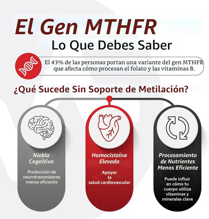 10X Health Optimize Multivitamínico para hombres \u2013 90 cápsulas...