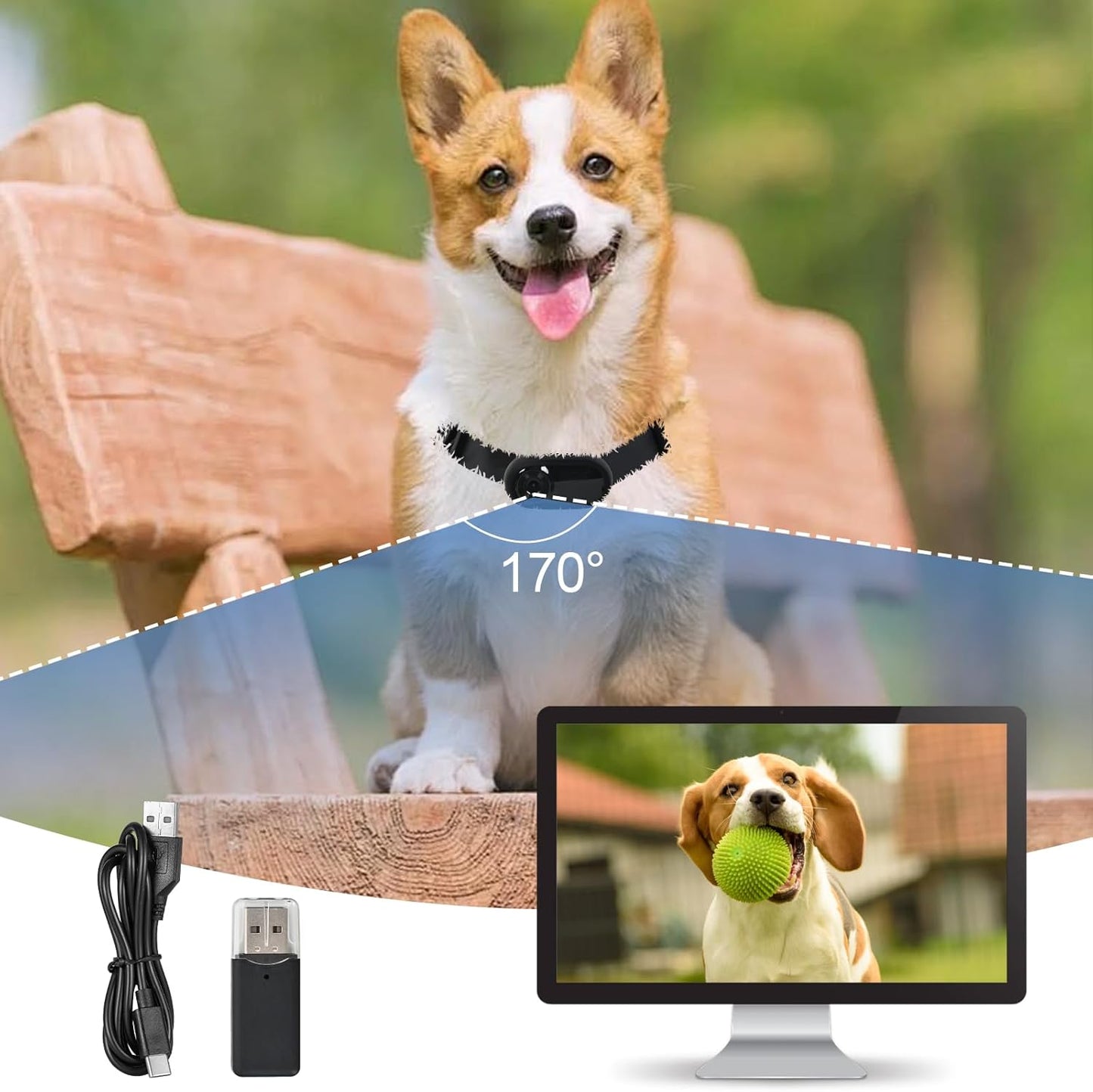 Lian.Ripple.Lian Collar de cámara para mascotas de 1080p HD con gra...
