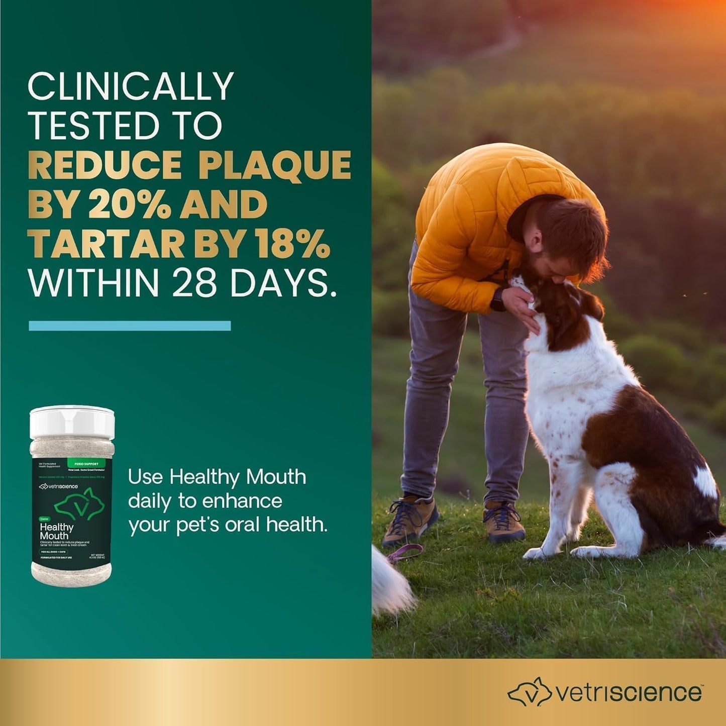 VetriScience Polvo de cuidado dental, soporte perio clínicamente pr...
