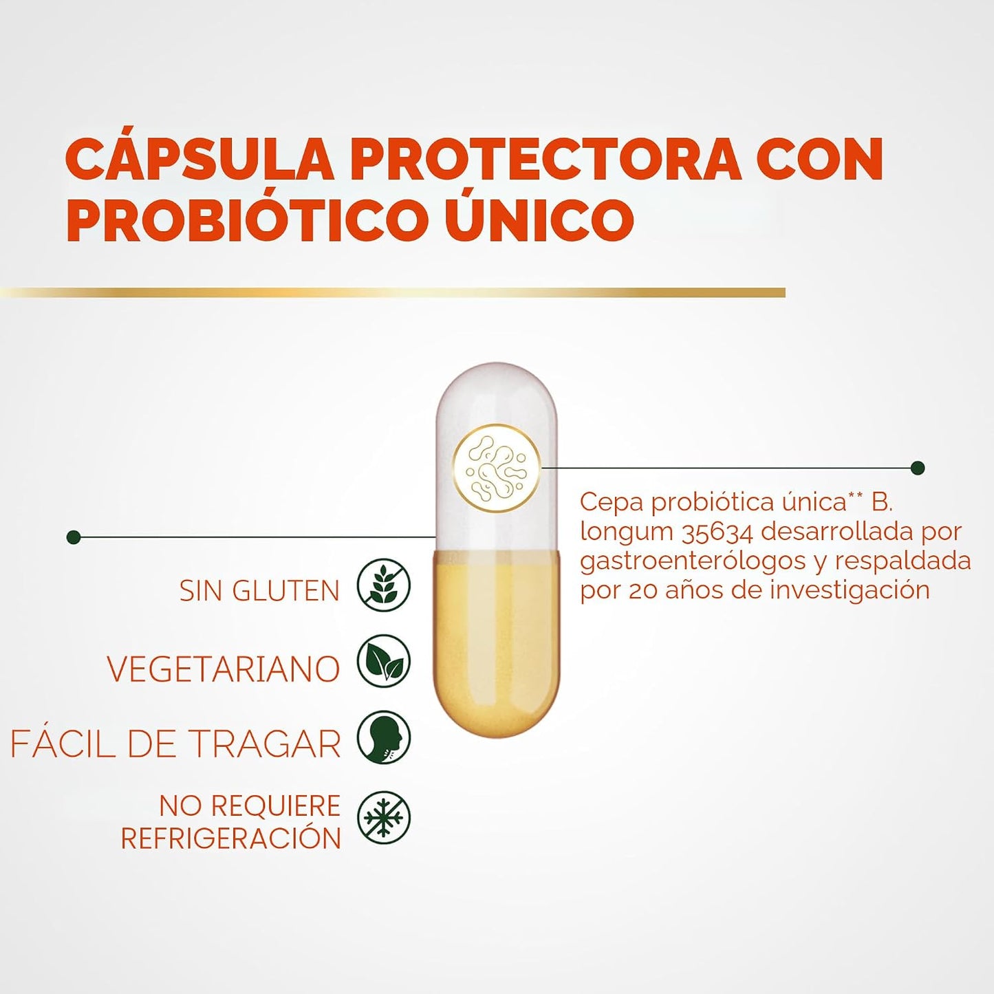 Align Probióticos, fórmula profesional, probióticos para mujeres y...