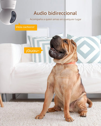 ARENTI Cámara de seguridad 5G para interiores, cámara para mascotas...