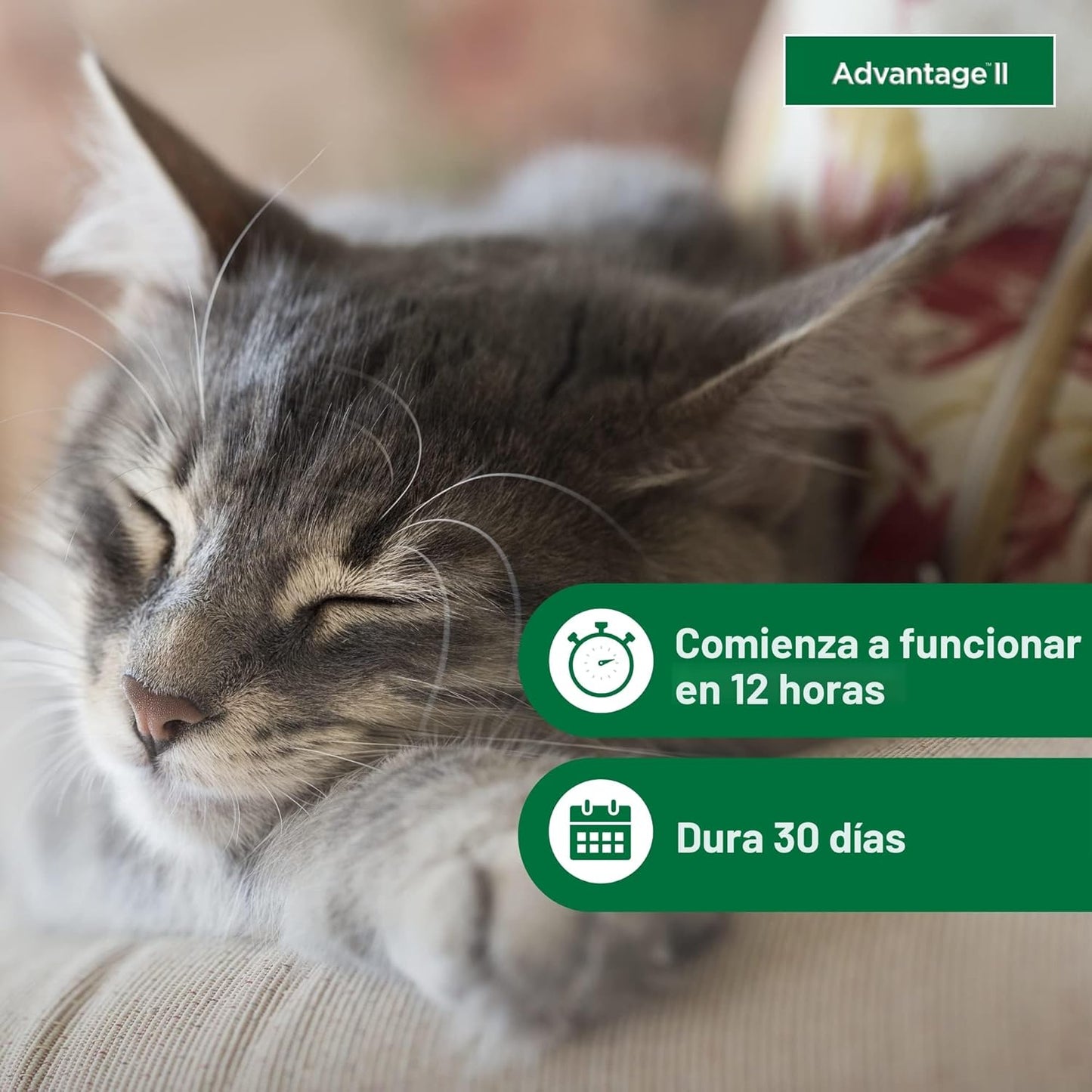 Tratamiento y prevención de pulgas recomendado por veterinarios par...