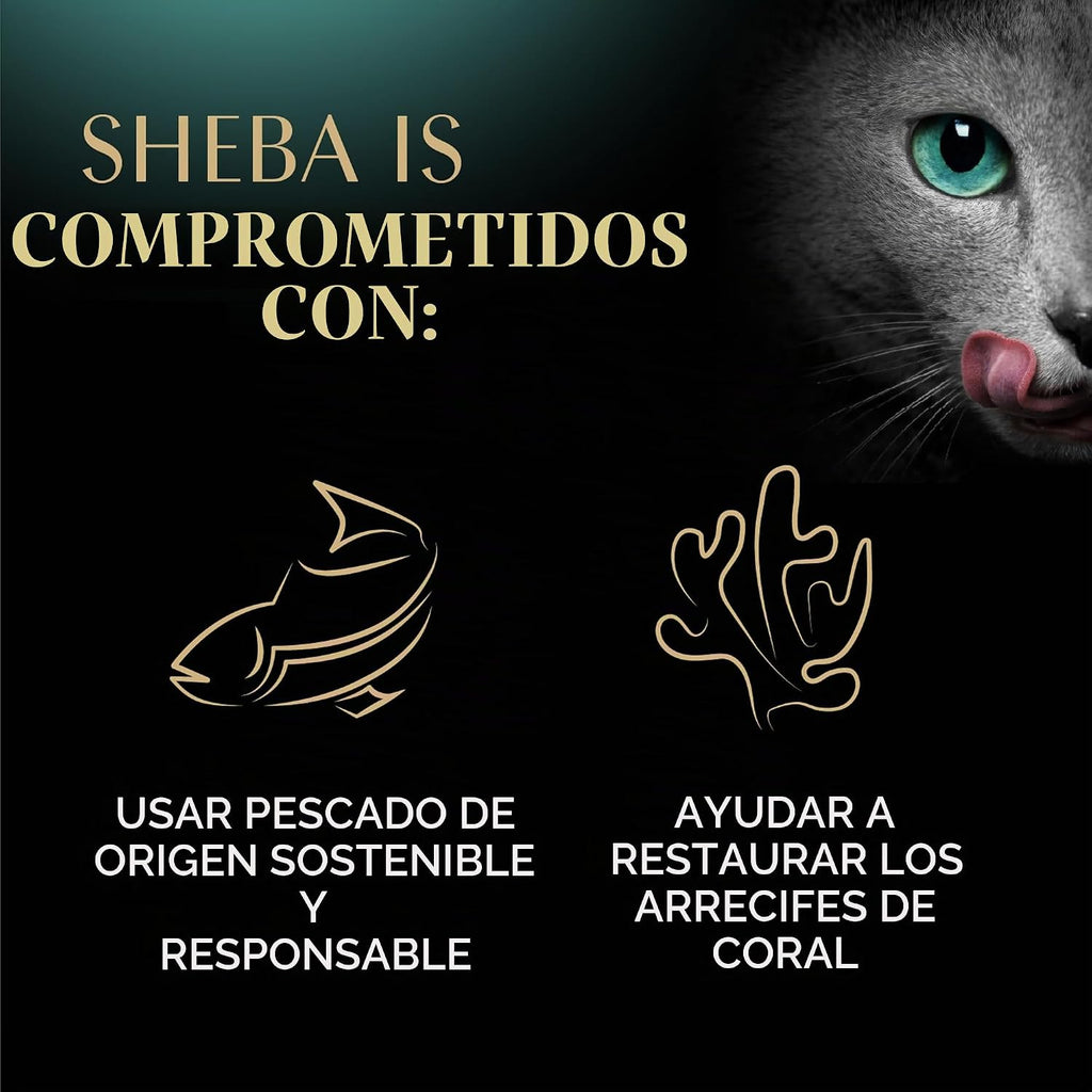 Sheba Perfect Portions - Alimento húmedo en paté para gatos, paquet...