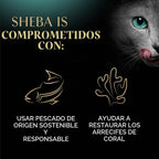 Sheba Perfect Portions - Alimento húmedo en paté para gatos, paquet...