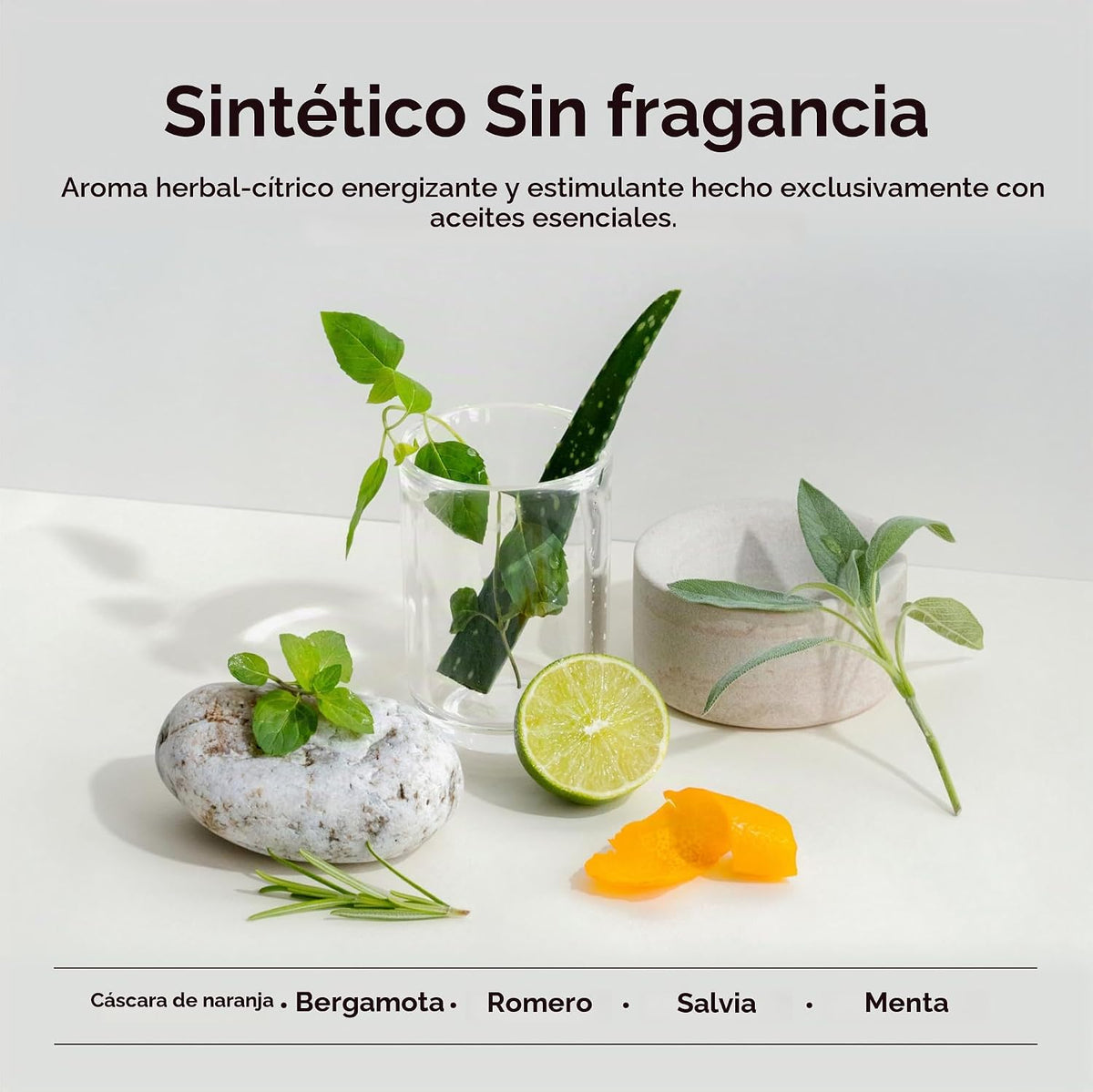 Everist Haircare Meets Skincare Set Champú y acondicionador profund...