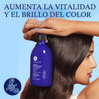 Luseta Blue - Juego de champú y acondicionador - Iluminador de colo...