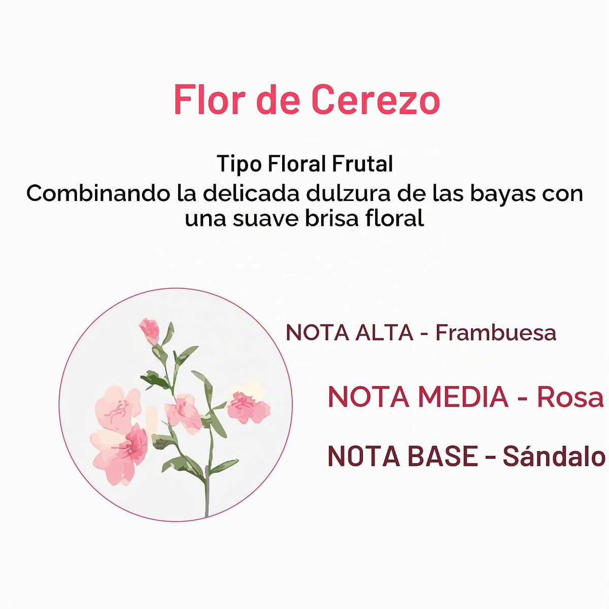 KUNDAL Juego de regalo de Ramadán de edición limitada, [Cherry Blos...
