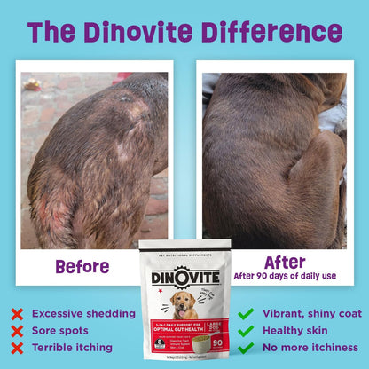 Dinovite Suplemento probiótico para perros, Omega 3, alivio de punt...
