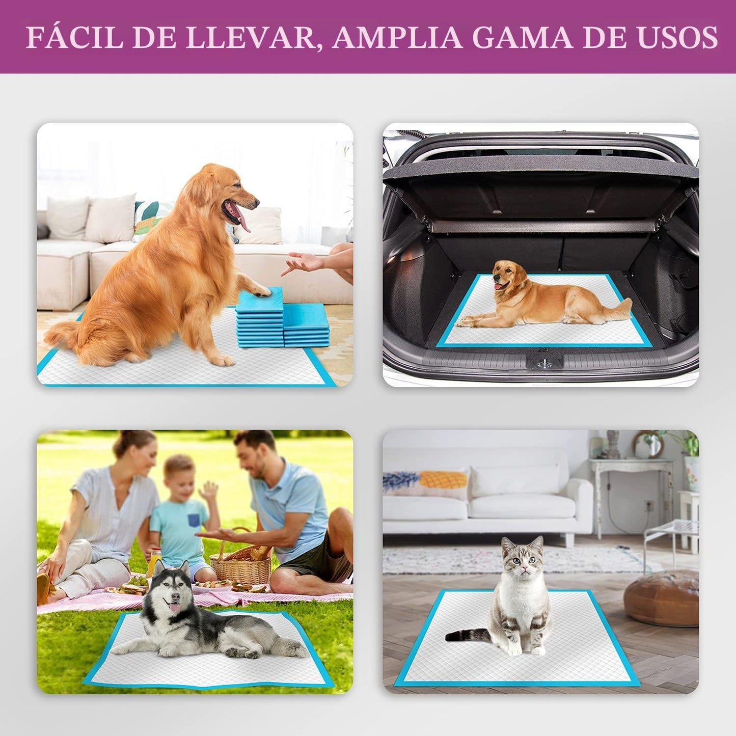 IMMCUTE Almohadillas para orina de perro, extra grandes, de 28 x 34...