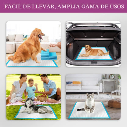 IMMCUTE Almohadillas para orina de perro, extra grandes, de 28 x 34...