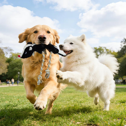 Juguetes chirriantes para perros, sin relleno, paquete de 2 juguete...
