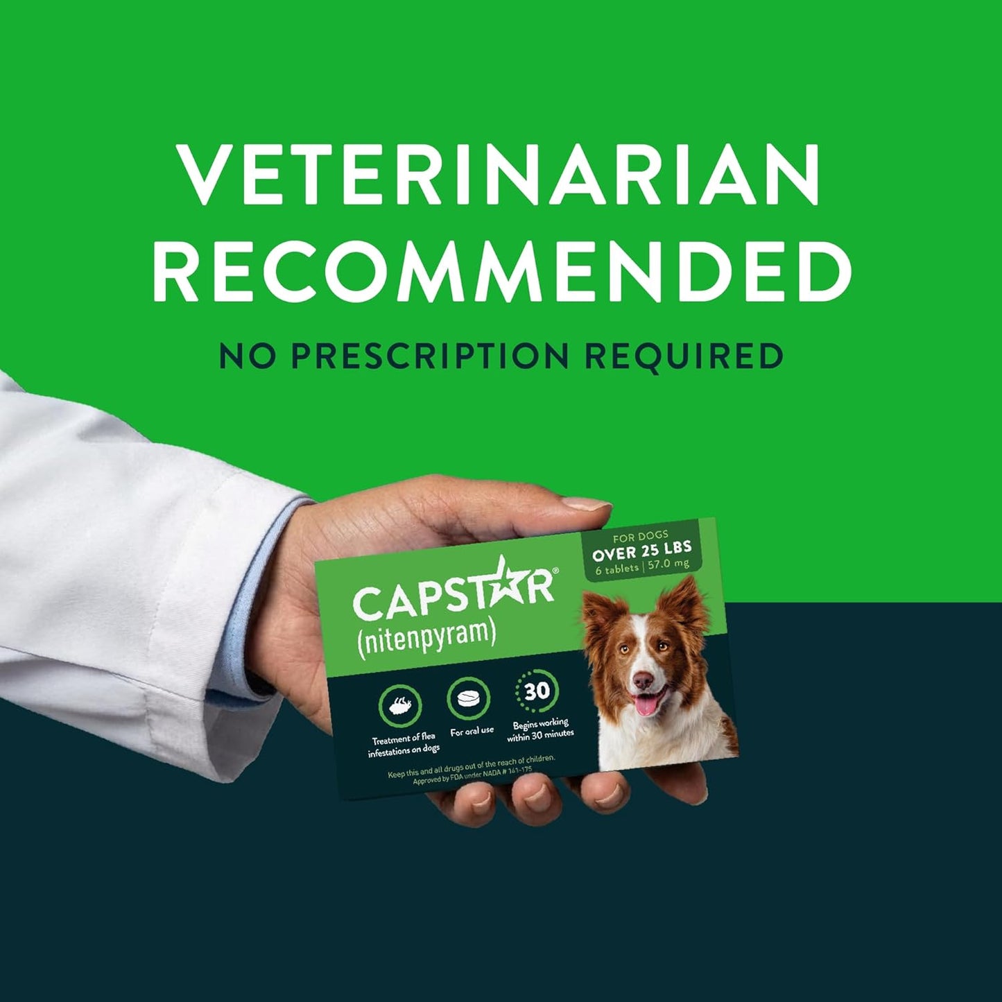 Capstar (nitenpyram) para perros, tratamiento oral de pulgas de acc...