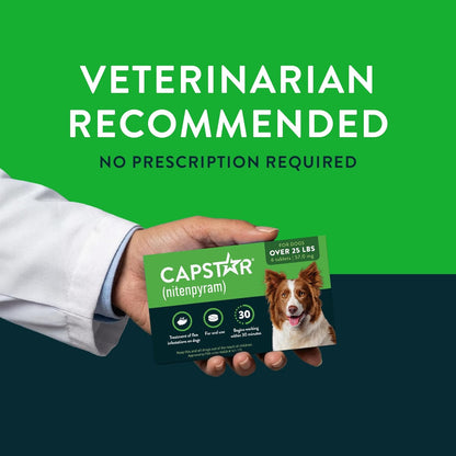 Capstar (nitenpyram) para perros, tratamiento oral de pulgas de acc...