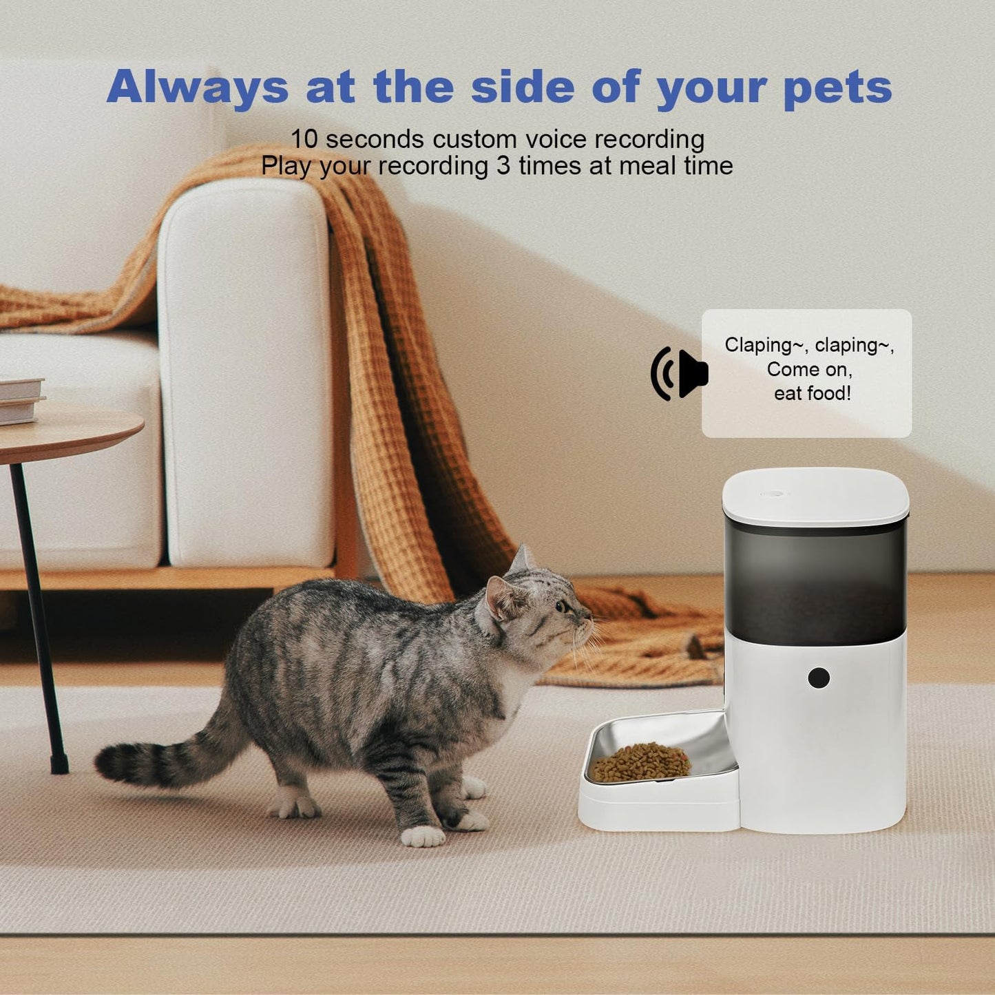 Comedero automático para gatos, dispensador de comida para gatos de...