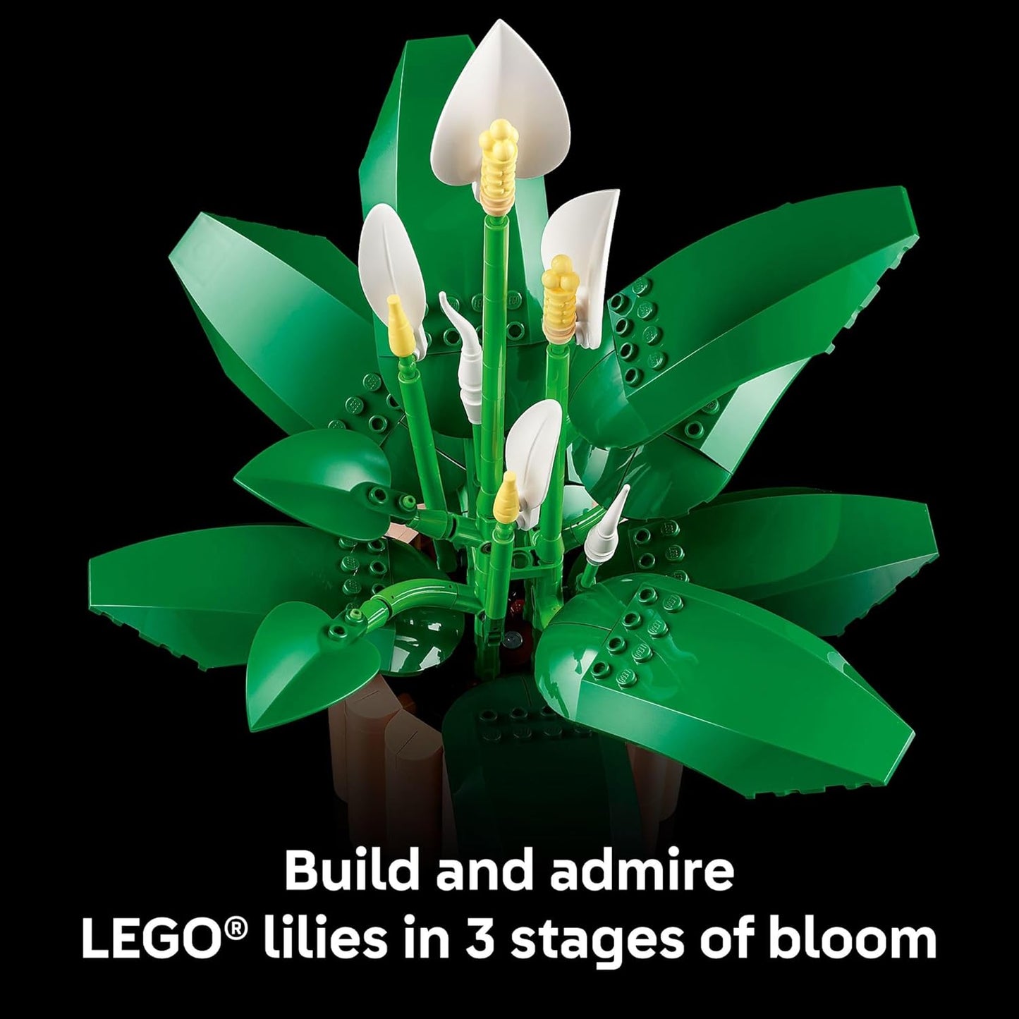 LEGO Botanicals - Juego de construcción de flores de lirio de la paz para adultos, dormitorio, estante de libros y decoración de oficina para mujeres y hombres, a partir de 18 años, regalo para el día