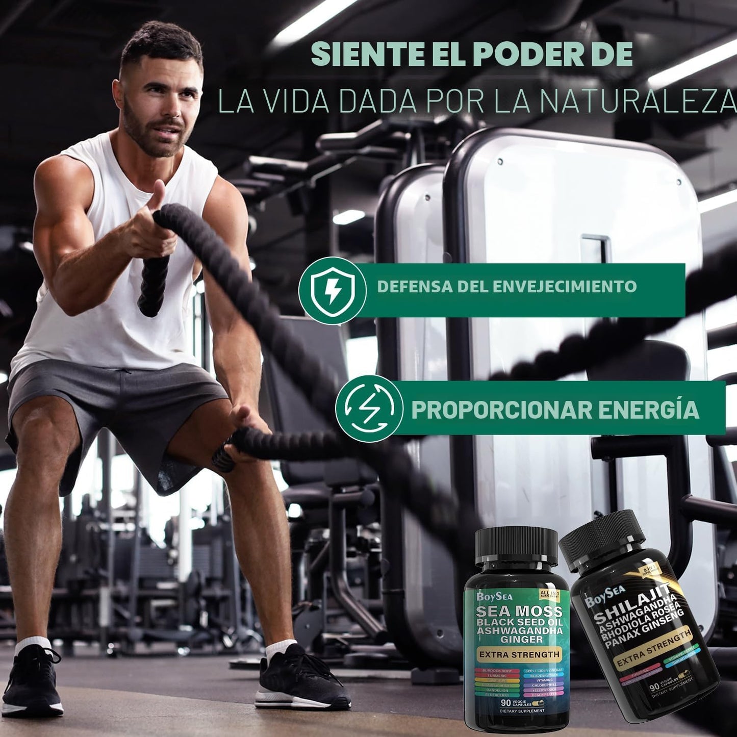 Boysea. Paquete de Shilajit y Musgo Marino - 90 Unidades - Musgo Ma...