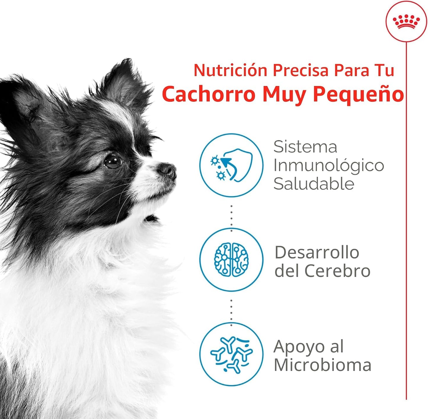 De Royal Canin, Size Health Nutrition, comida seca para cachorros e...