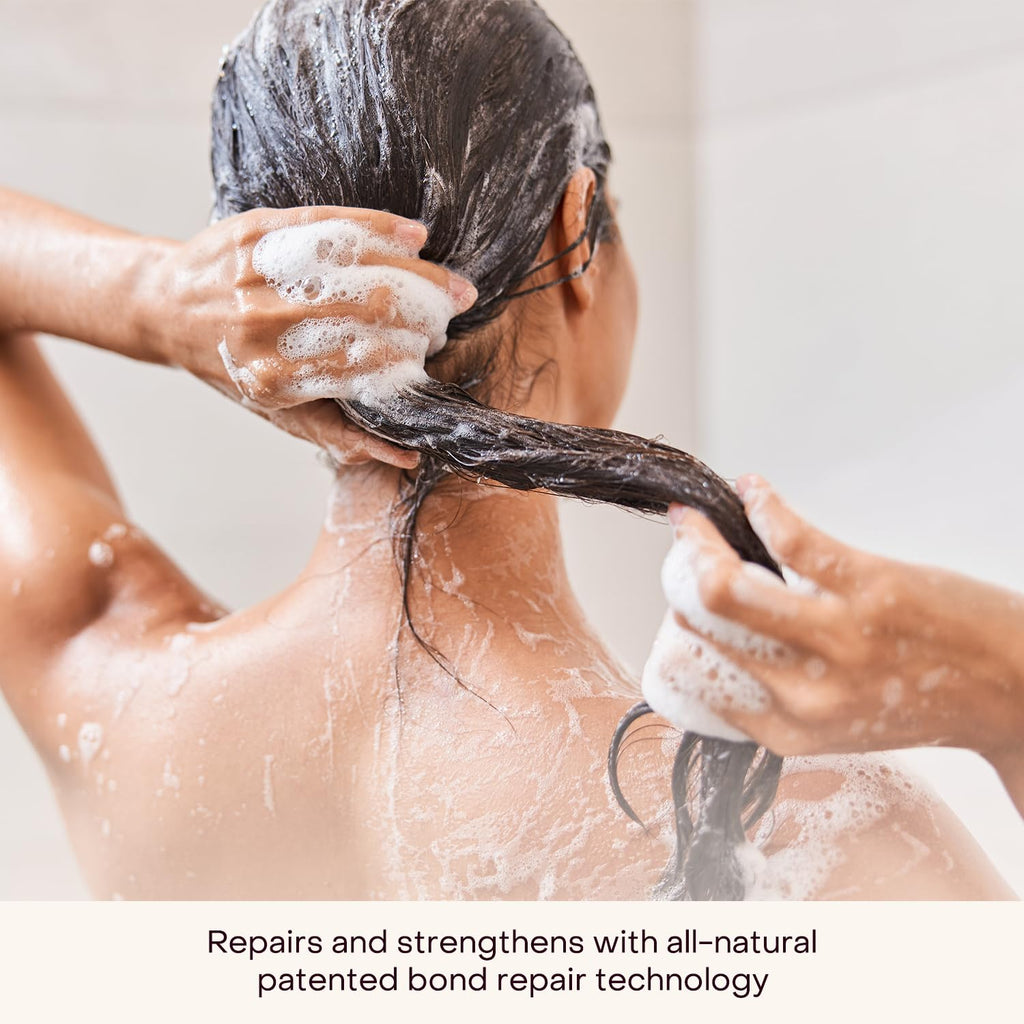 Everist Haircare Essentials Duo | Champú y acondicionador, latas |...