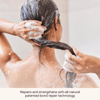 Everist Haircare Essentials Duo | Champú y acondicionador, latas |...