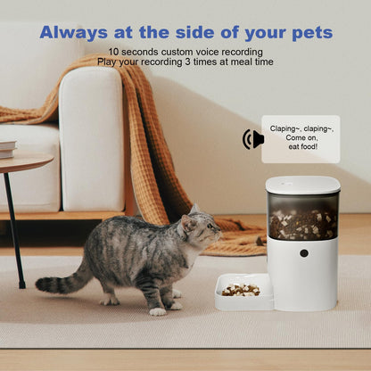 ANDOLL HOME Comedero automático para gatos, dispensador de comida p...