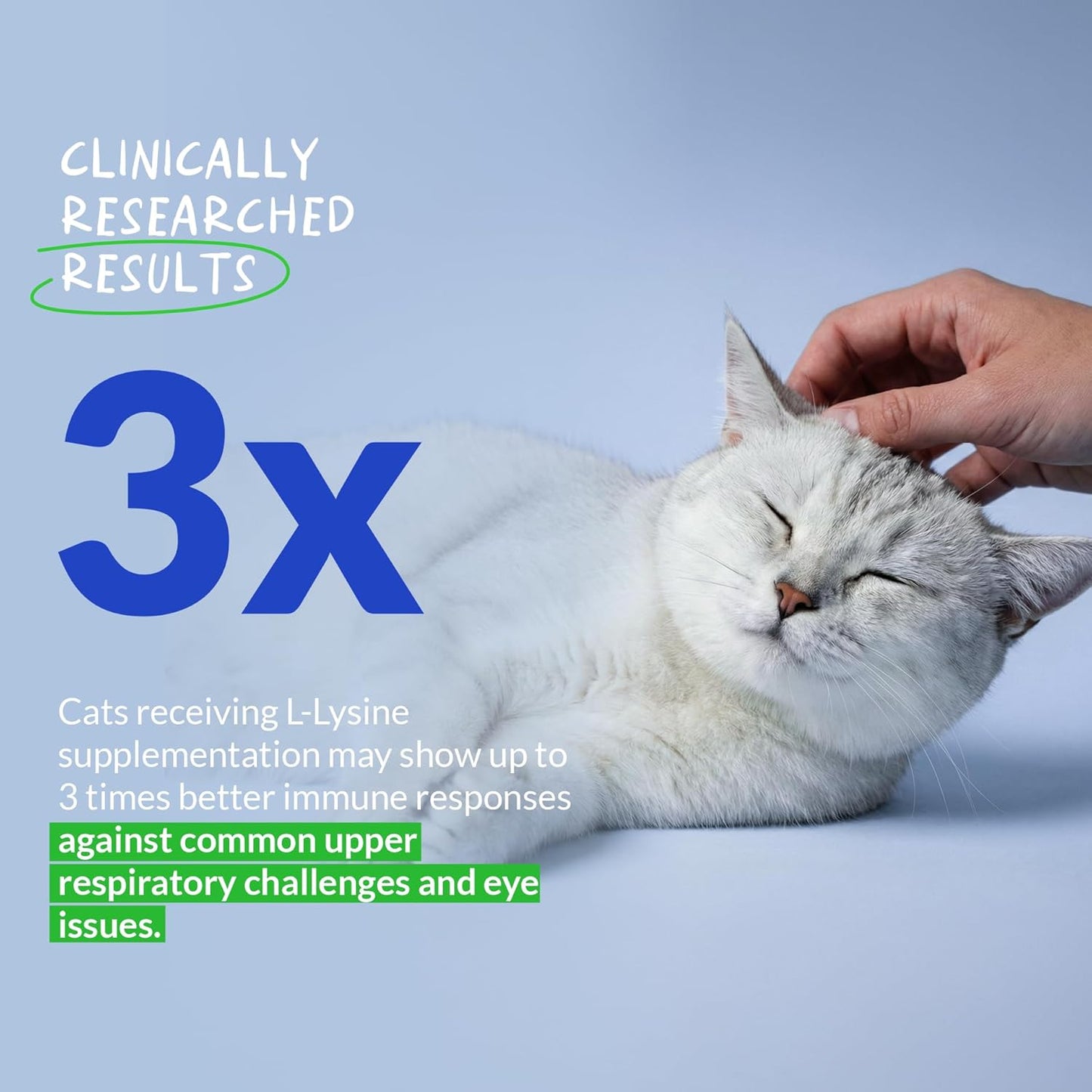 Suplemento de L-lisina para gatos 900 mg\/cucharada - Suplemento pa...