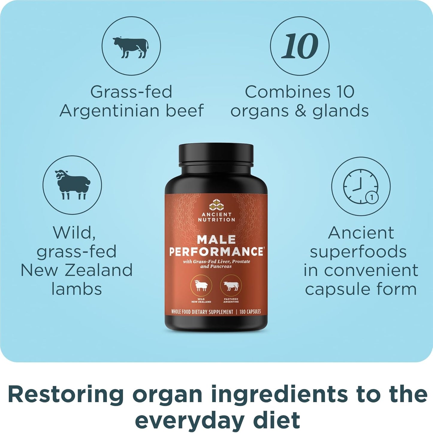 Ancient Nutrition Suplementos de Órganos para Hombres, Cápsulas de...